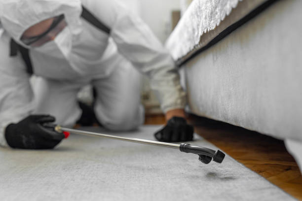 Professional Termite Control technician working in Roland, IA